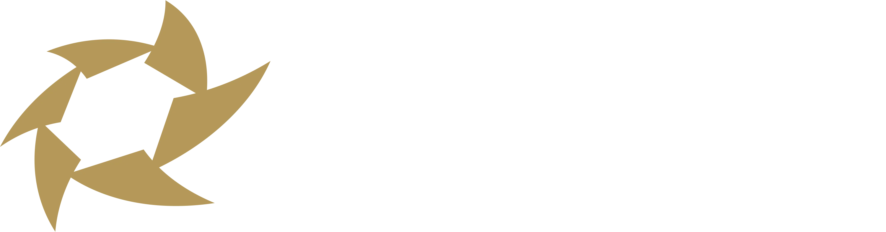 Armada Merch